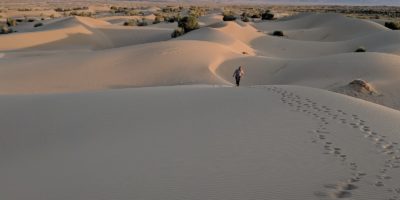 Die wüste Tour