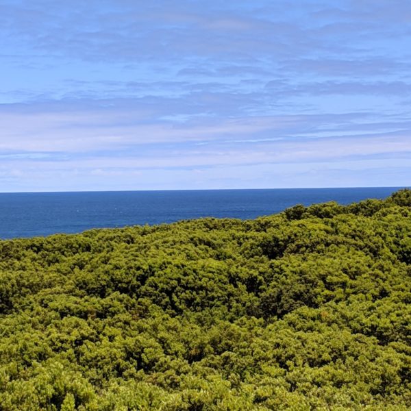 Great Ocean grün-blau