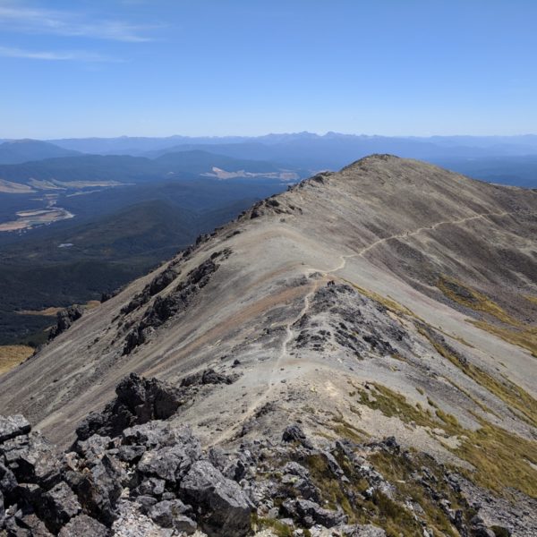 Franz Josef, Westküste, Robert Ridge